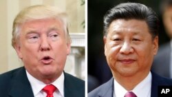 美国总统川普(左图)，中国国家主席习近平