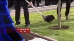 El Mundo al día